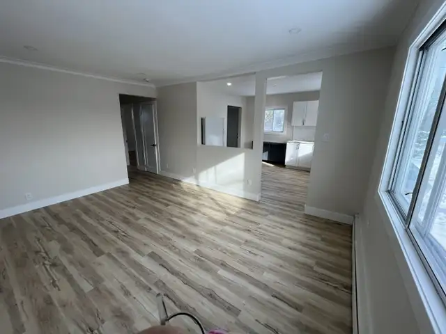 Newly Renovated 2 Bedroom   Den Basement Unit - Photo 13