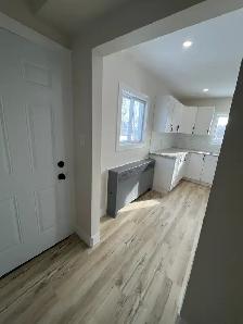 Newly Renovated 2 Bedroom   Den Basement Unit - Photo 14
