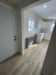 Newly Renovated 2 Bedroom   Den Basement Unit - Photo 15