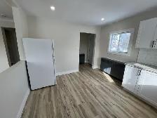 Newly Renovated 2 Bedroom   Den Basement Unit - Photo 16