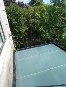 Toronto Pressure Washing – Driveways, Decks & Home Exteriors - Photo 10