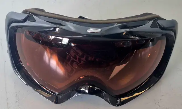 Giro Googles (32779543)