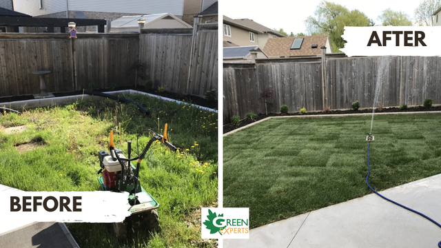 LOCAL LANDSCAPING FREE ESTIMATES BOOKING FOR MAY2026 - Photo 4