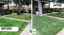 LOCAL LANDSCAPING FREE ESTIMATES BOOKING FOR MAY2026 - Photo 5