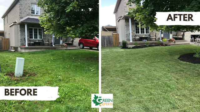 LOCAL LANDSCAPING FREE ESTIMATES BOOKING FOR MAY2026 - Photo 8