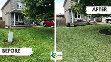 LOCAL LANDSCAPING FREE ESTIMATES BOOKING FOR MAY2026 - Photo 8