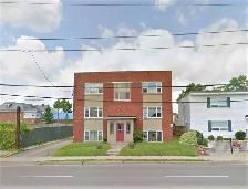 Renovated 2BR on York St, London, $1,450   Hydro, 2 Months Free - Photo 6