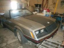 Cars and Trucks - Photo 4