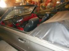 Cars and Trucks - Photo 6