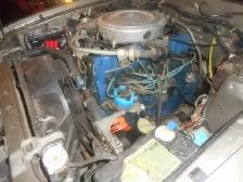 Cars and Trucks - Photo 14