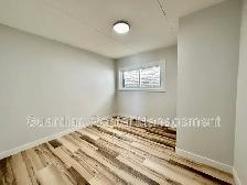 3 Bedroom, 1 Bath Unit - 141A Frederica St. E St. Unit 2 - $1995 - Photo 2