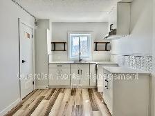 3 Bedroom, 1 Bath Unit - 141A Frederica St. E St. Unit 2 - $1995 - Photo 3