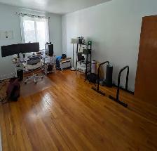 Grand 5 1/2, pour Juin/Juillet, duplex 2e étage, Villeray, Mtl - Photo 10