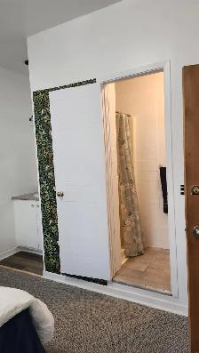 Chambre meublee bain prive-$770-Berri-Uqam-Room with private bat - Photo 6