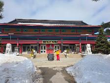 Tai Chi classes for beginners   levels.