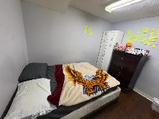 1 Bed 1 Bath Apartment for Rent - Photo 5