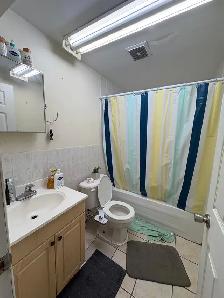 1 Bed 1 Bath Apartment for Rent - Photo 6