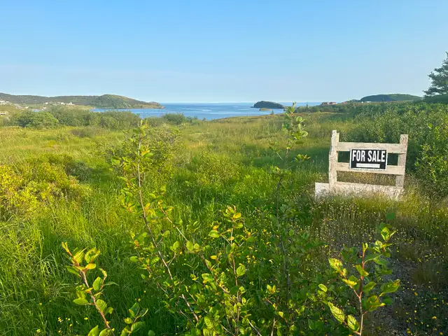 Oceanfront Land for Sale - Photo 4