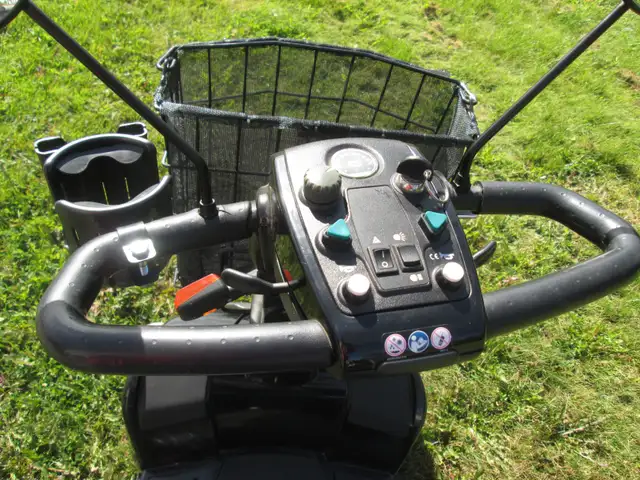 Pride Celebrity LR Scooter - Photo 4