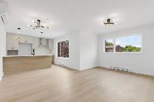 Elegant modern 3 bedroom apartment (Montreal)