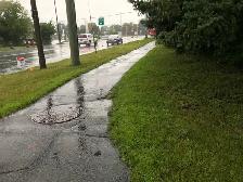 SPRING BACKYARD CLEAN-UP SPECIAL! - Photo 3