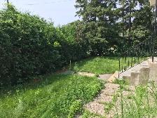 SPRING BACKYARD CLEAN-UP SPECIAL! - Photo 6