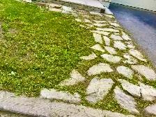 SPRING BACKYARD CLEAN-UP SPECIAL! - Photo 9