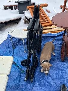 wheelchair - Photo 2