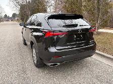 2021 Lexus NX300 - Photo 3