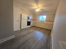 Spacious Renovated 2 bedroom Apartment - Haist Street Fonthill