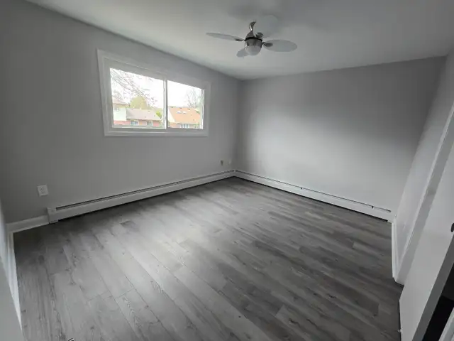 Spacious Renovated 2 bedroom Apartment - Haist Street Fonthill - Photo 4