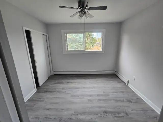 Spacious Renovated 2 bedroom Apartment - Haist Street Fonthill - Photo 5