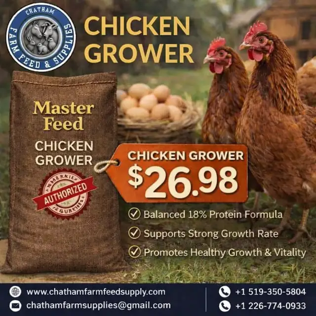 Chicken Grower Feed – Masterfeeds | Complete Nutrition for Gr