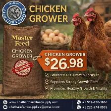 Chicken Grower Feed – Masterfeeds | Complete Nutrition for Gr
