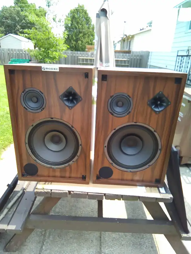 Haut-parleurs vintage Rodec . - Photo 3