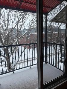 ✨ Charmant 3 ½ près du métro Préfontaine – 1 200 $/mois ✨ - Photo 8