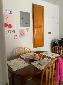 Grand 3 1/2  - Metro Cote Saint-Catherine - Photo 5