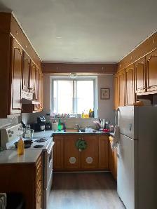 Grand 3 1/2  - Metro Cote Saint-Catherine - Photo 6