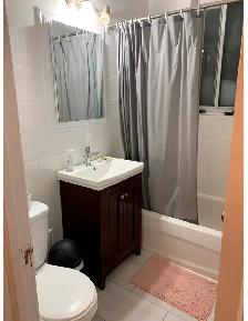 Grand 3 1/2  - Metro Cote Saint-Catherine - Photo 7