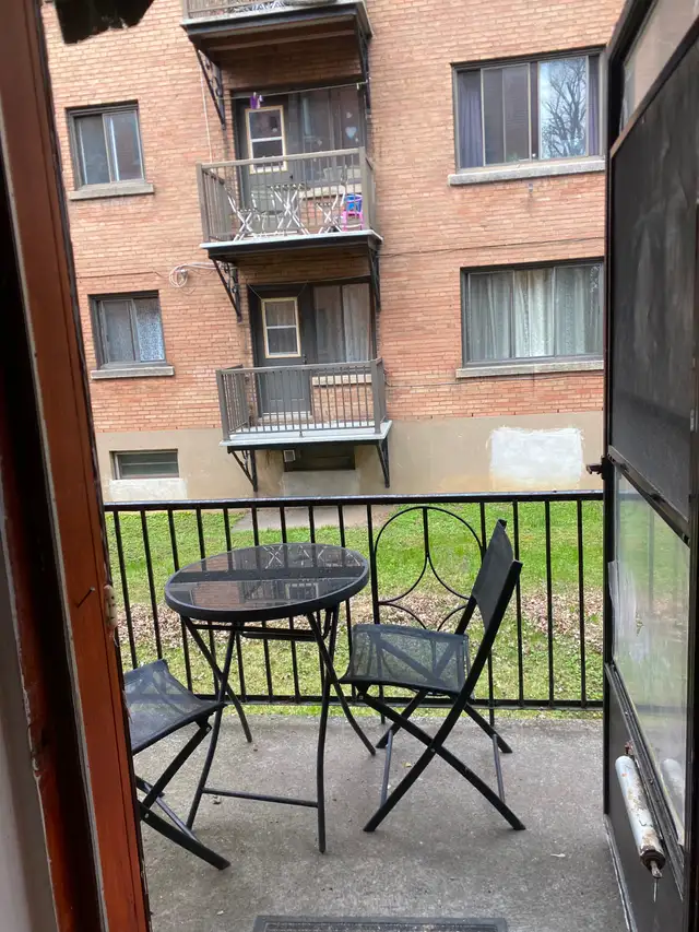 Grand 3 1/2  - Metro Cote Saint-Catherine - Photo 8