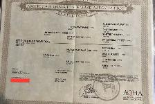 2 year old registered AQHA filly - Photo 7