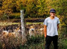 Purebred  Japanese Akita puppies looking for forever homes❤️ - Photo 8