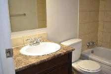 SPACIOUS – RENOVATED – PET FRIENDLY - Photo 5