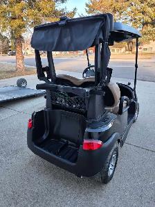 2022 Lithium Golf Cart - Photo 4