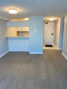 BEAUTIFUL 1 BEDROOM CONDO FOR SALE