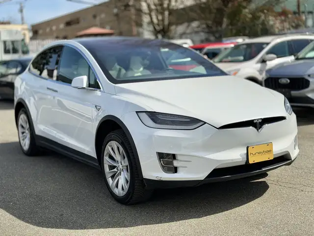 2017 Tesla Model X 100D LONG RANGE - Photo 3