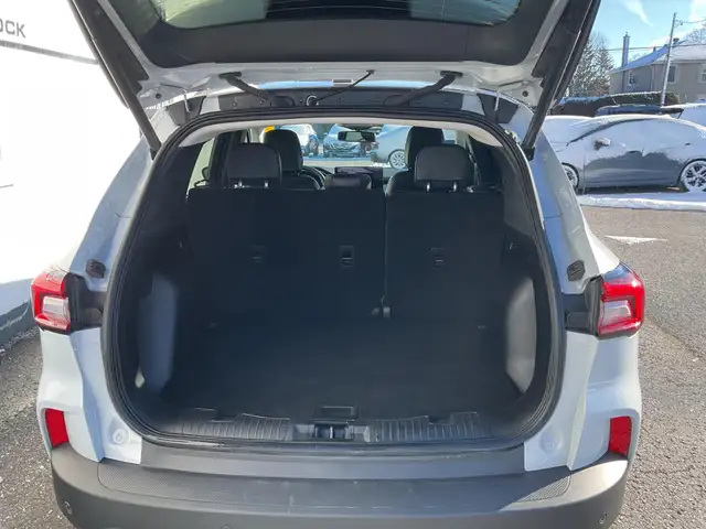 2025 Ford Escape Platinum - Photo 19