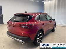 2026 FORD Escape PHEV - Photo 6
