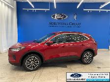 2026 FORD Escape PHEV - Photo 9