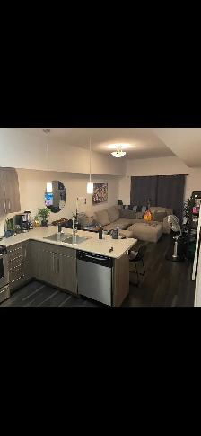 Furnished 1 Bedroom den Condo for Rent -Osborne Village